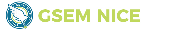 GSEM-Nice-logo-header-website.jpg